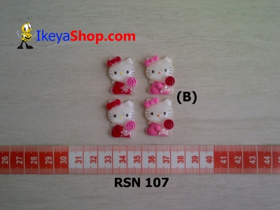 rsn 107  large2